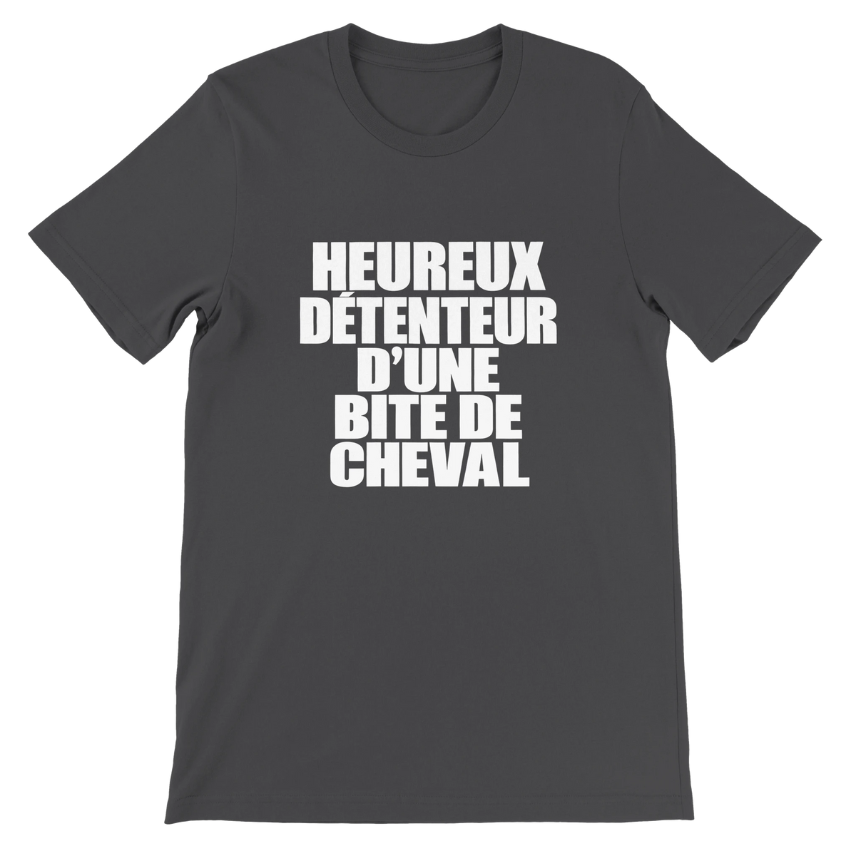 T-shirt « Heureux détenteur d’une bite de cheval » gris foncé, devant