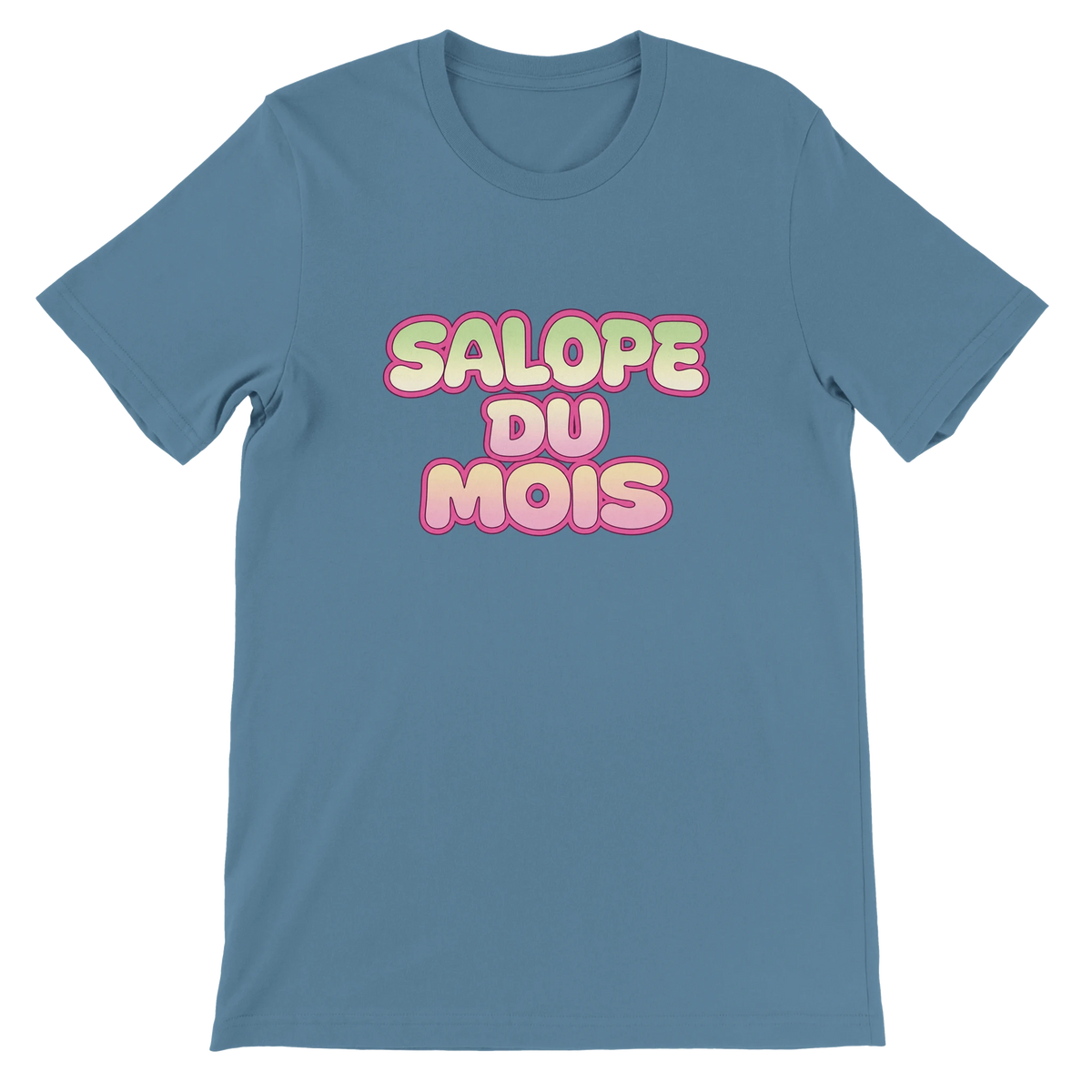 T-shirt « Salope du mois » bleu acier, devant