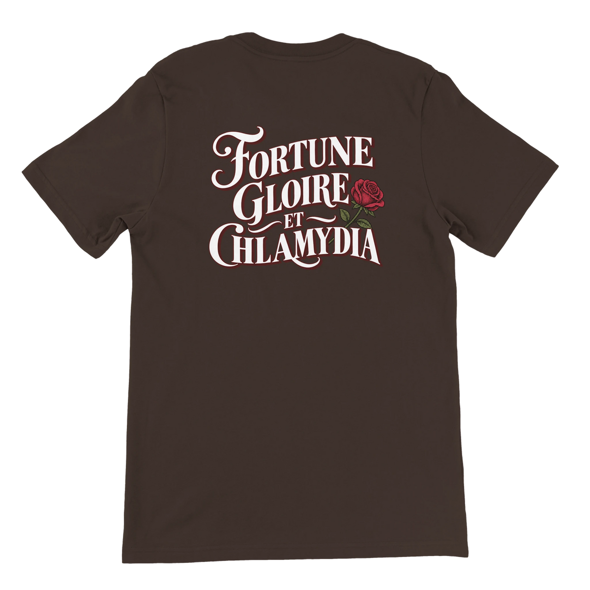 T-shirt « Fortune, gloire et chlamydia » marron, dos