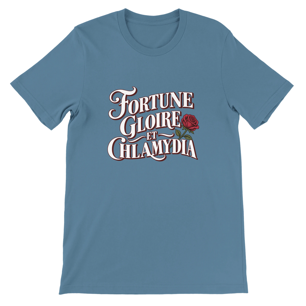 T-shirt « Fortune, gloire et chlamydia » bleu acier, devant