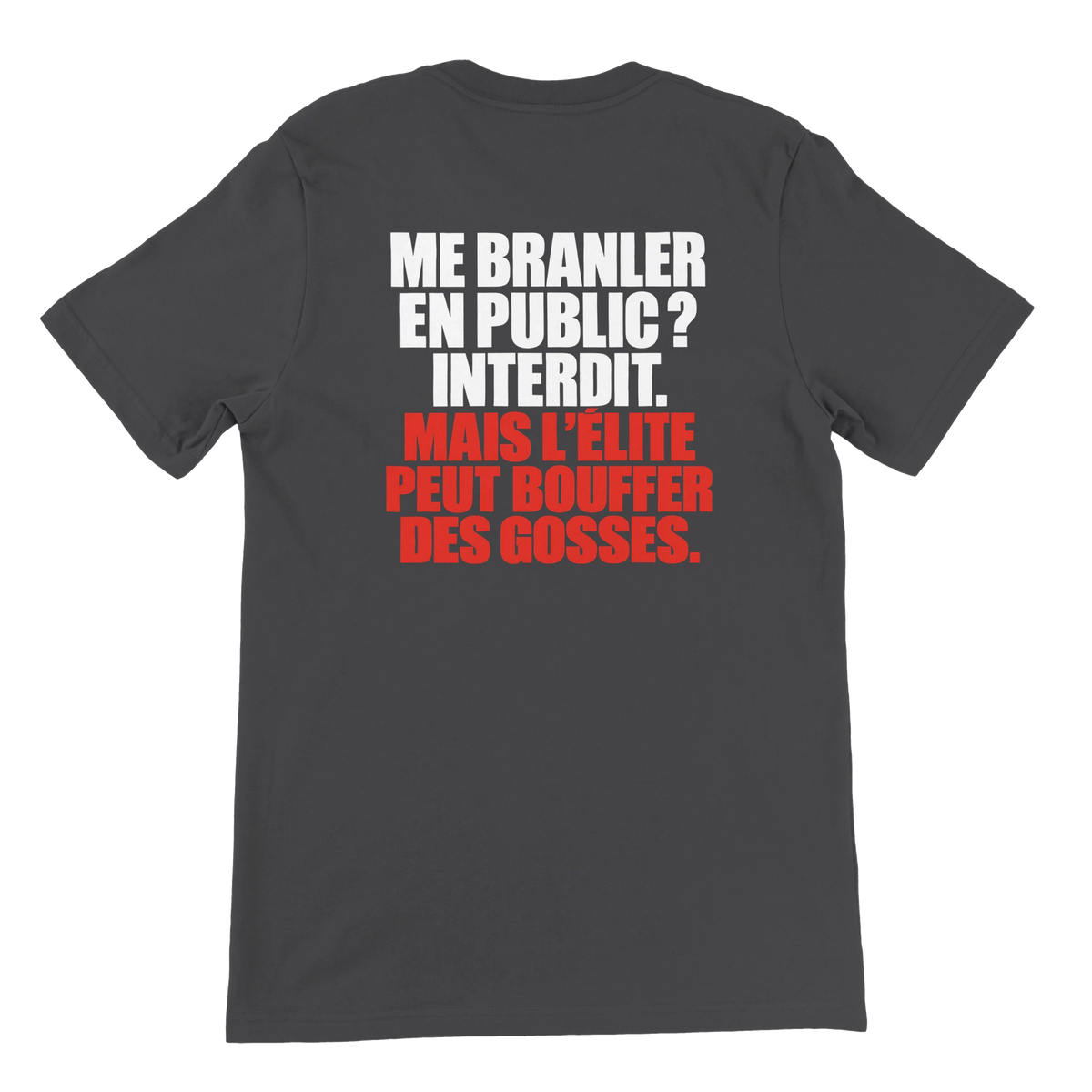 T-shirt « Me branler en public ? Interdit. » gris foncé, dos