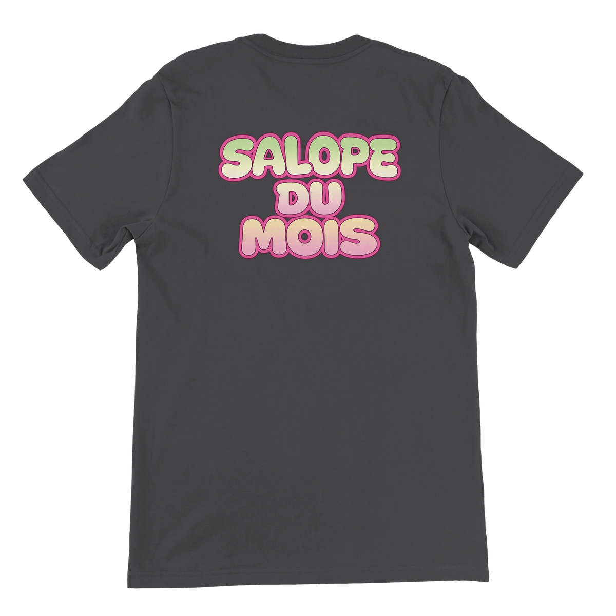 T-shirt « Salope du mois » gris foncé, dos