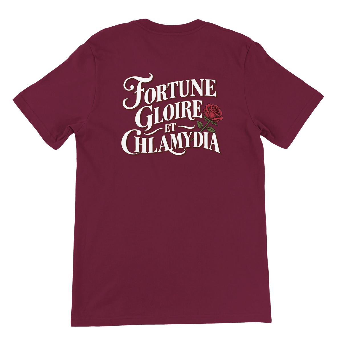 T-shirt « Fortune, gloire et chlamydia » bordeaux, dos