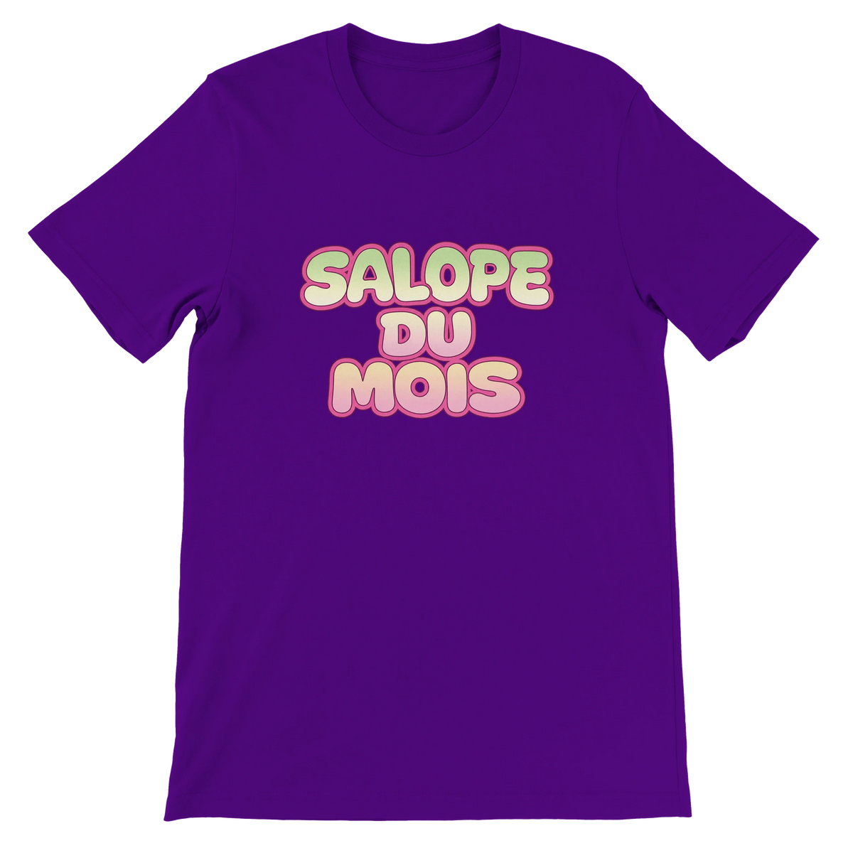 T-shirt « Salope du mois » violet, devant