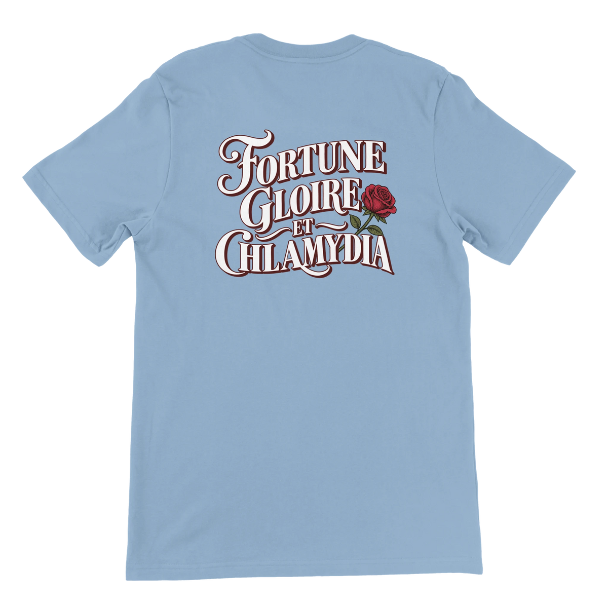 T-shirt « Fortune, gloire et chlamydia » bleu ciel, dos