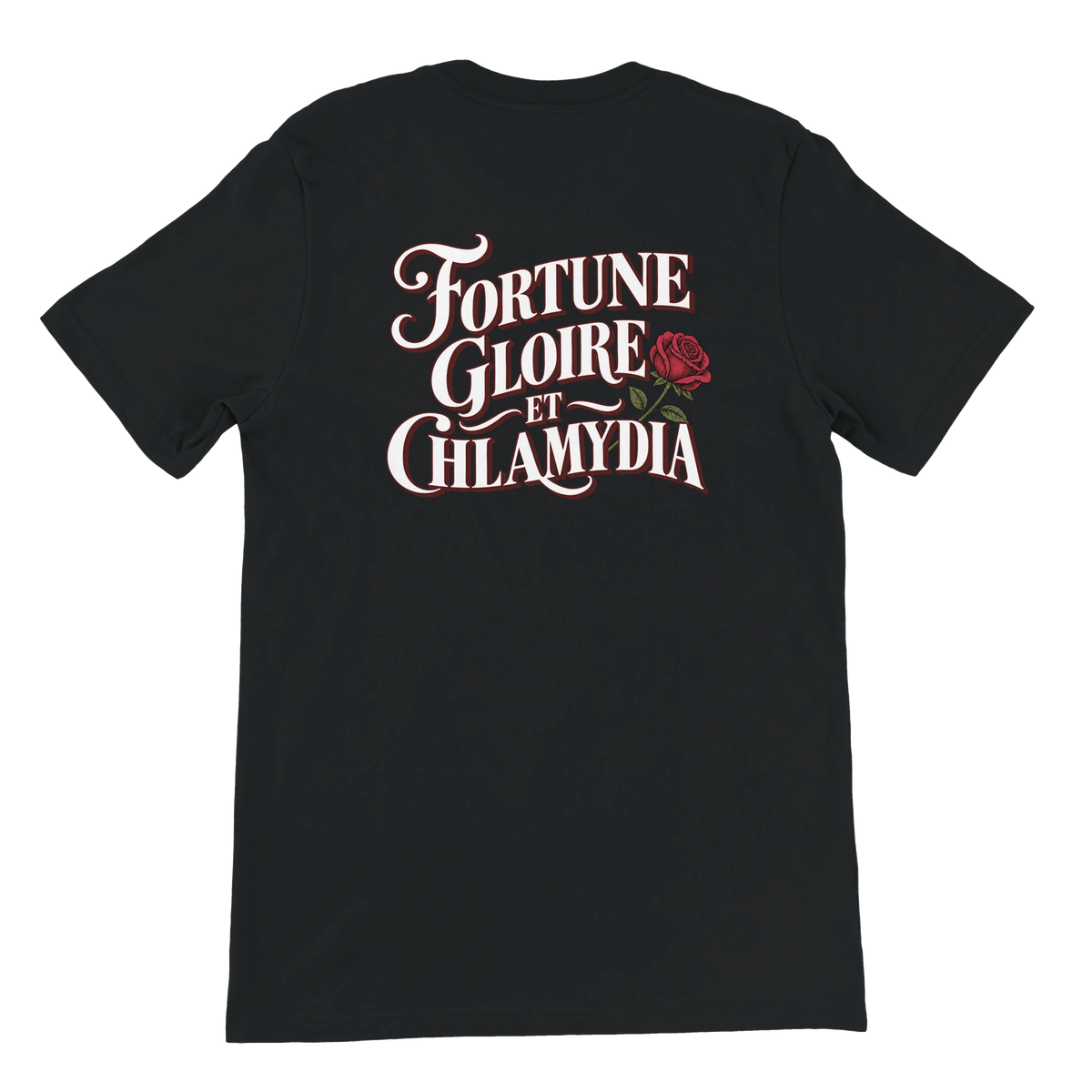 T-shirt « Fortune, gloire et chlamydia » noir, dos