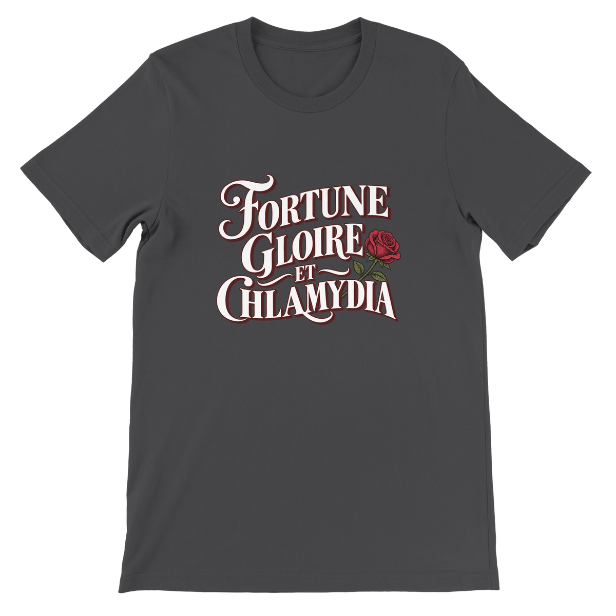 T-shirt « Fortune, gloire et chlamydia » gris foncé, devant