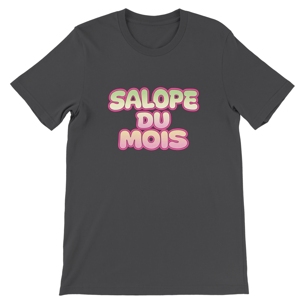 T-shirt « Salope du mois » gris foncé, devant