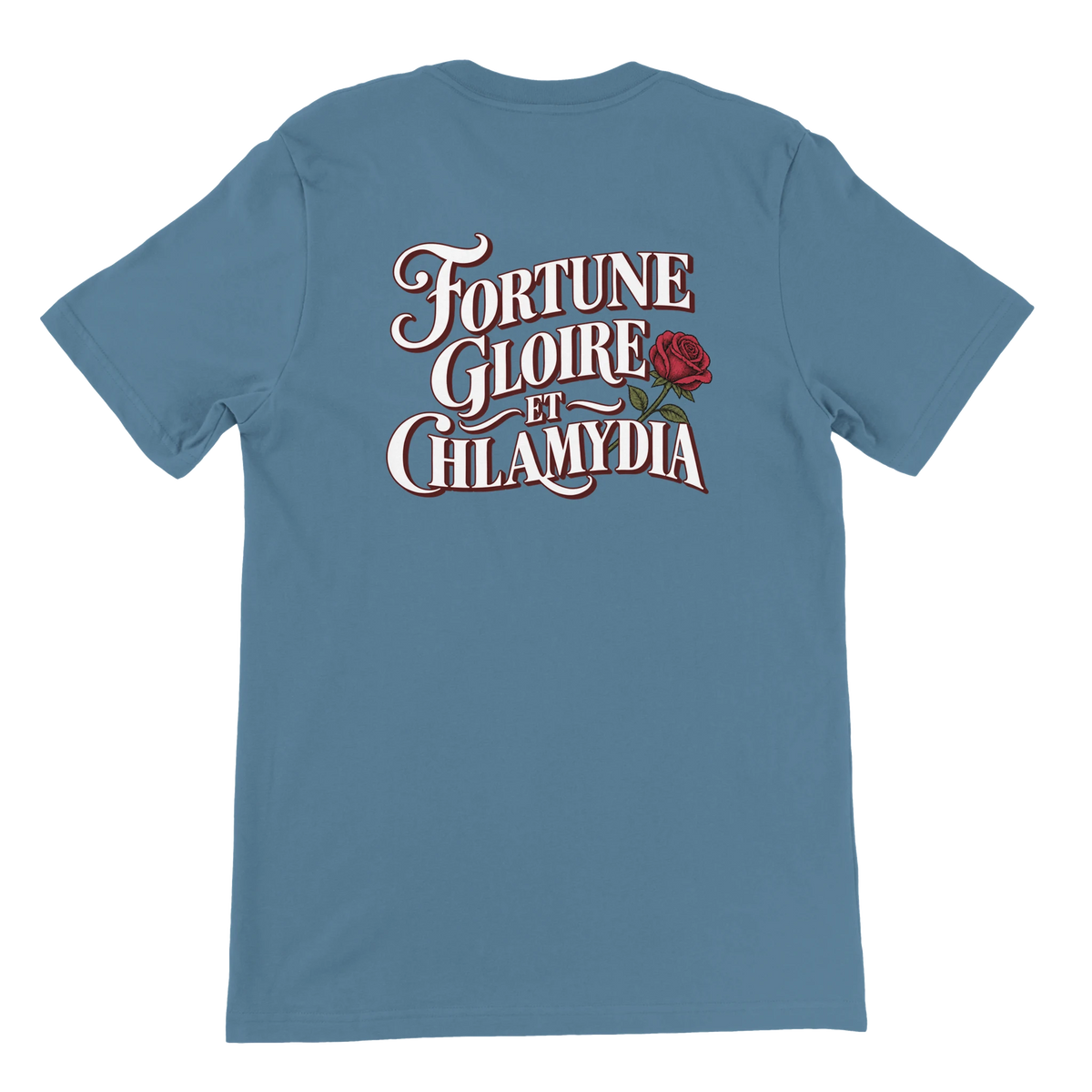 T-shirt « Fortune, gloire et chlamydia » bleu acier, dos