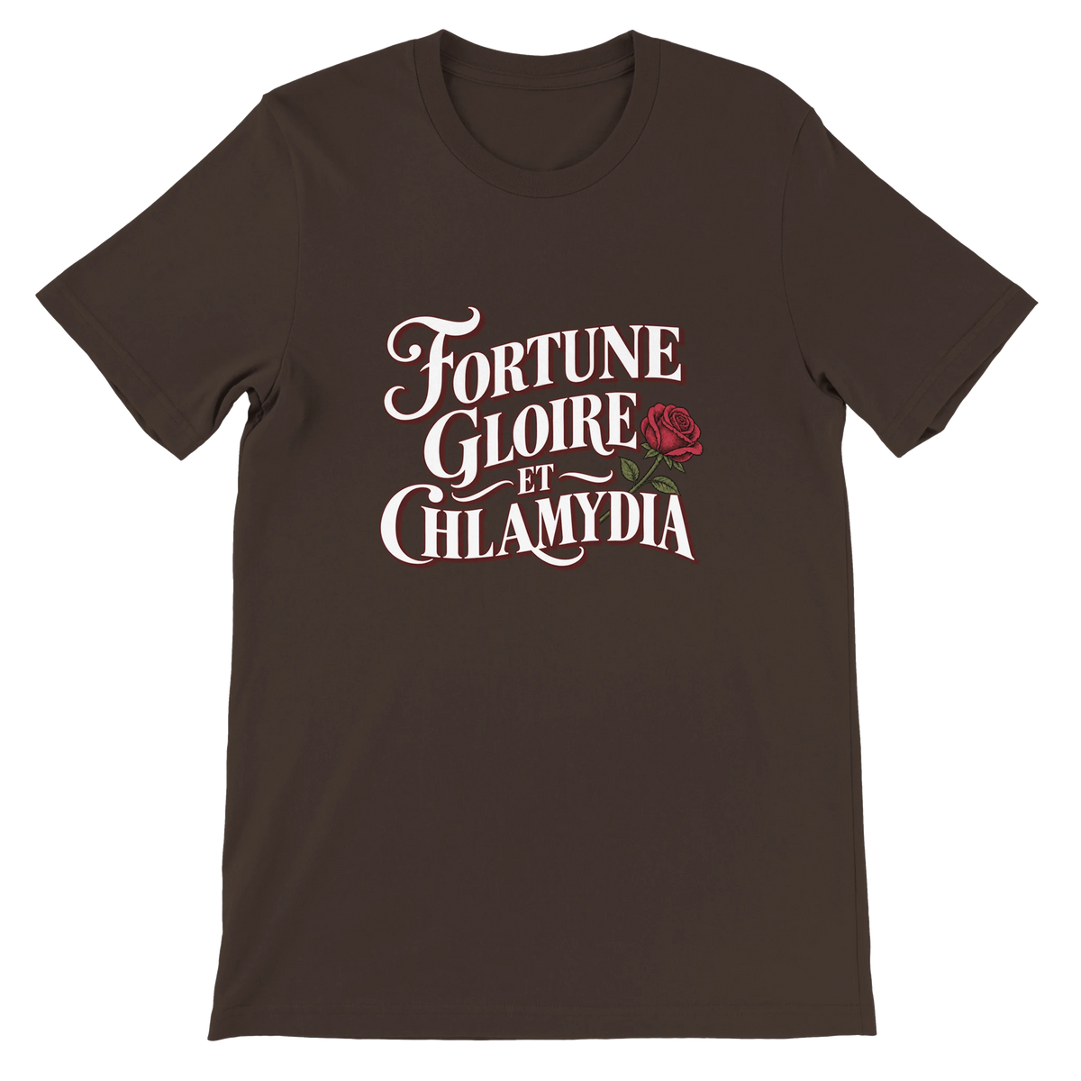 T-shirt « Fortune, gloire et chlamydia » marron, devant