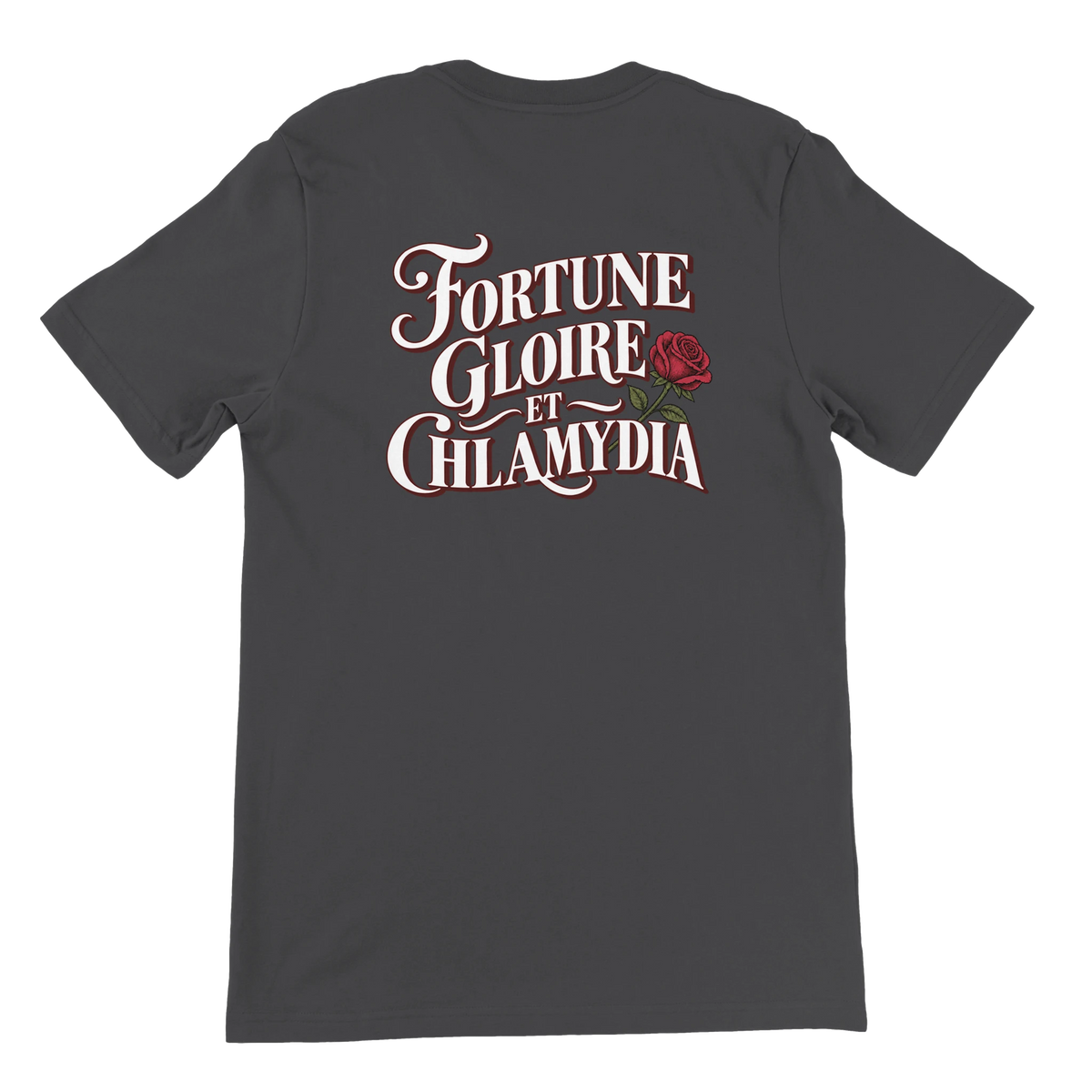 T-shirt « Fortune, gloire et chlamydia » gris foncé, dos