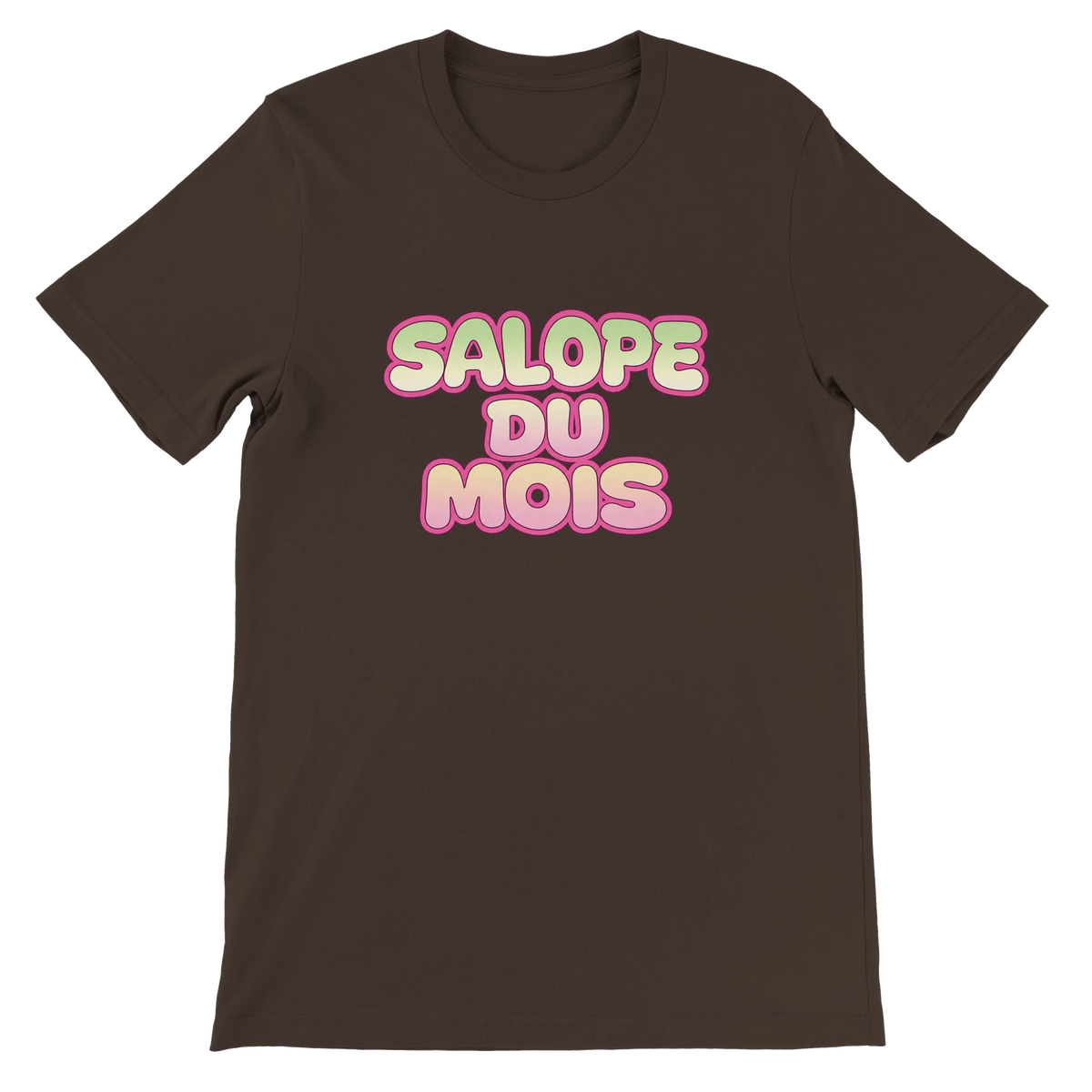 T-shirt « Salope du mois » marron, devant